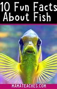 Image result for 10 Facts About Fish