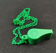 Image result for Whistle Necklace