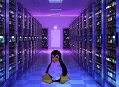 Image result for Windows Server Linux