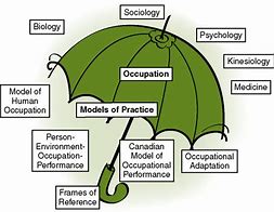 Image result for Occupational Therapy Theory