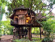 Image result for Chiang Mai Treehouse