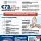 Image result for Canine CPR
