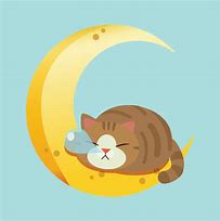 Image result for Cat Sleeping On Moon