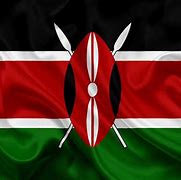 Image result for Kenya Africa Flag
