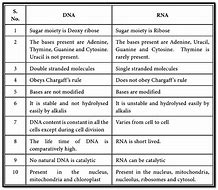 Image result for RNA vs DNA Differences