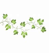 Image result for Ivy Vine Designs