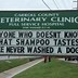 Image result for Funny Veterinary Clinic Signs