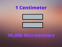 Image result for 2 Centimeters