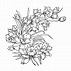 Image result for Line Art Drawings Flowers