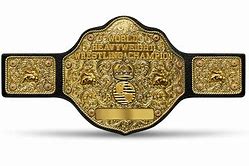 Image result for WCW Championship