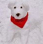 Image result for Snowman Contest Ideas Hospital