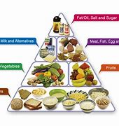 Image result for Balanced Diet Consists Of