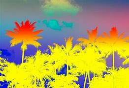 Image result for Trippy Wallpapers Palm Trees