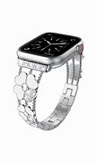 Image result for Titanium Apple Watch Bands for Men