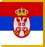 Image result for Serbian Military Flag