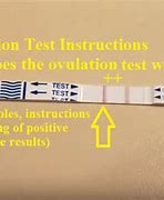 Image result for What Does Ovulation Bleeding Look Like