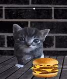 Image result for Burger Cat Meme