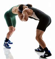 Image result for Wrestling Moves