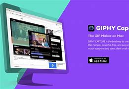 Image result for Shared Giphy