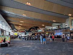 Image result for Sunflower Lanyard Wellington Airport