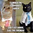 Image result for Boss Cat Meme