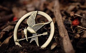 Image result for Hunger Games Mockingjay Pin