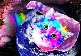 Image result for Galaxy Glasses Cat