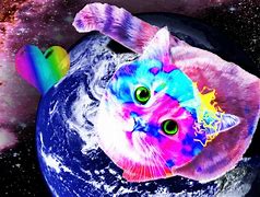 Image result for Galaxy Ccat Pics