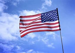 Image result for USA Flag Colors
