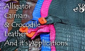 Image result for Crocodile vs Alligator Leather