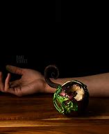 Image result for Poisoned Apple