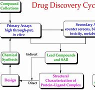 Image result for Drug Discovery Process Conclusion