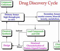 Image result for Toxicology Process in Drug Research and Discovery