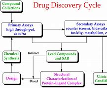 Image result for Drug Discovery Research