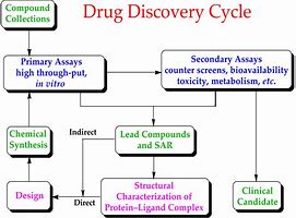 Image result for Recent Drug Discovery