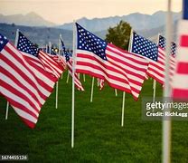 Image result for Large American Flag