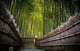 Image result for Steps and Traditions Wallpaper