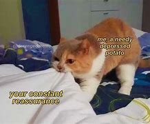Image result for DBT Cat Memes