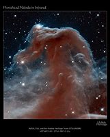 Image result for Horsehead Nebula NASA