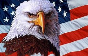 Image result for American Flag Eagle Fabric
