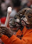 Image result for Dawg the Dog