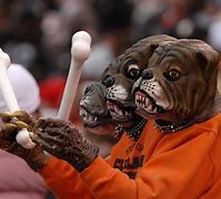 Image result for Dawg Pics