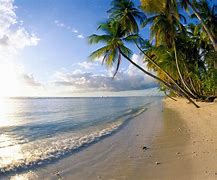 Image result for Summer Beach Photos