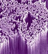 Image result for Nanowire Battery