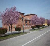 Image result for vigarano_mainarda