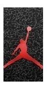 Image result for Air Jordan iPhone Case