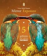 Image result for Mirror Down Photoshop Effect