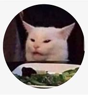 Image result for Sad Cat Face Meme