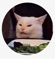 Image result for Cat Eating Salad Meme Face