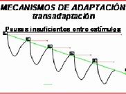 Image result for xompatibilidad